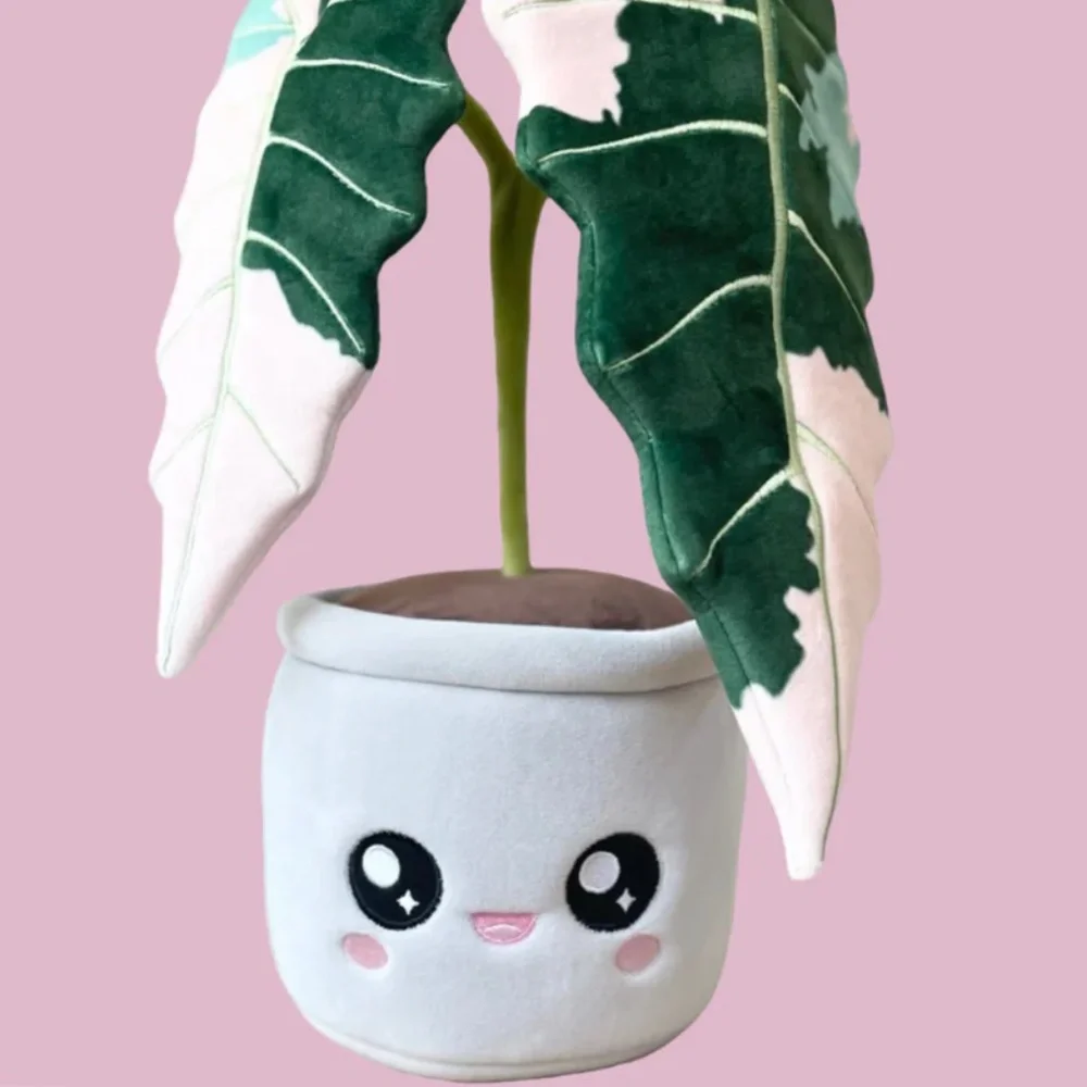Plant Plushie - Variegated Alocasia Amazonica - Picture 1 of 3